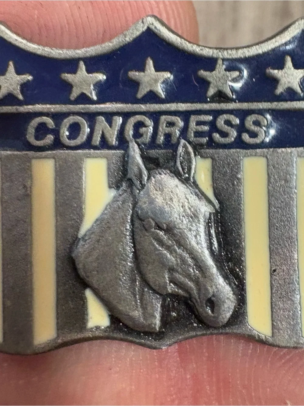 Vintage Enameled Metal Lapel Pin from the All American Quarter Horse Congress